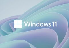windows 11