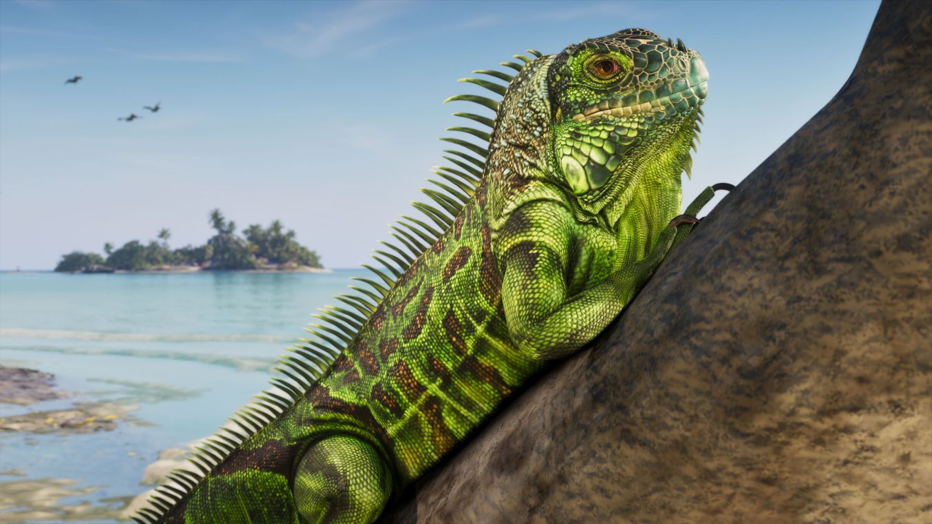 gta 6 animaux espèces